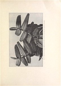 n76_w1150
