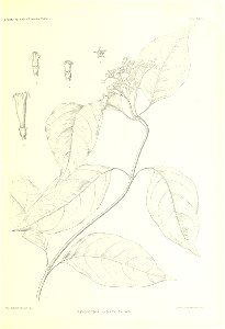 n328_w1150