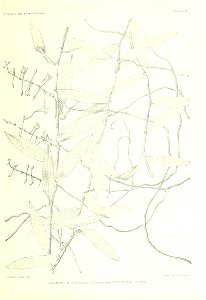 n132_w1150