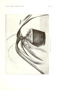 n102_w1150