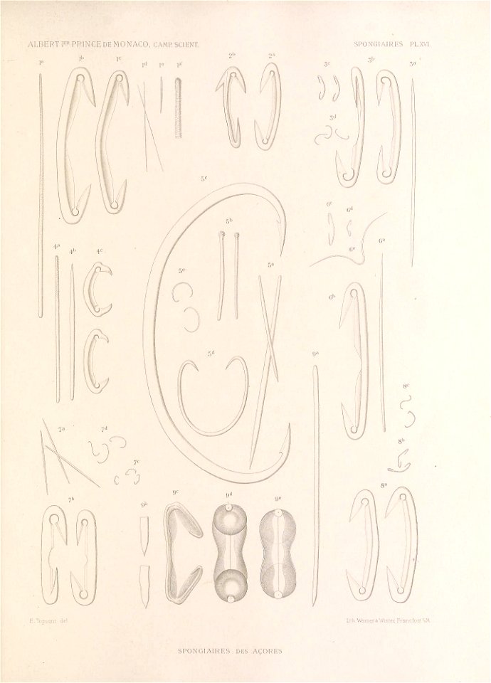 n352_w1150