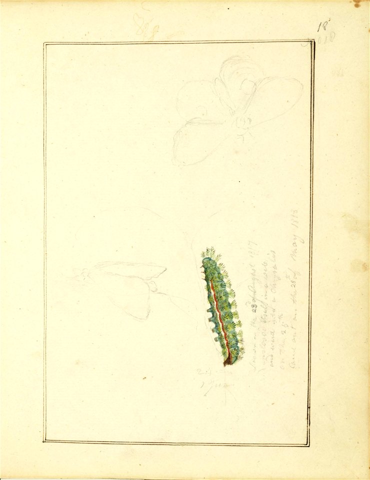 n16_w1150