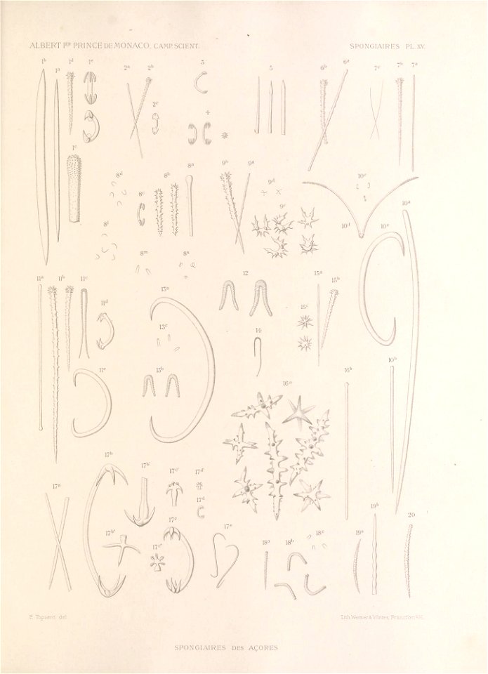 n348_w1150