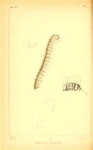 n137_w1150