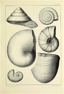 n146_w1150