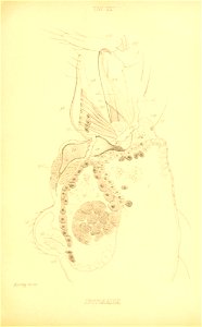 n178_w1150