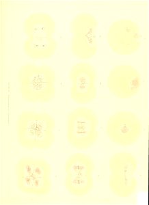 n594_w1150