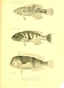 n626_w1150