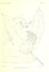 n312_w1150