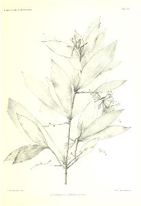 n116_w1150