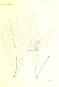n310_w1150