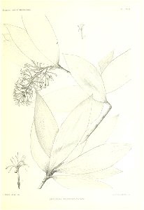 n114_w1150