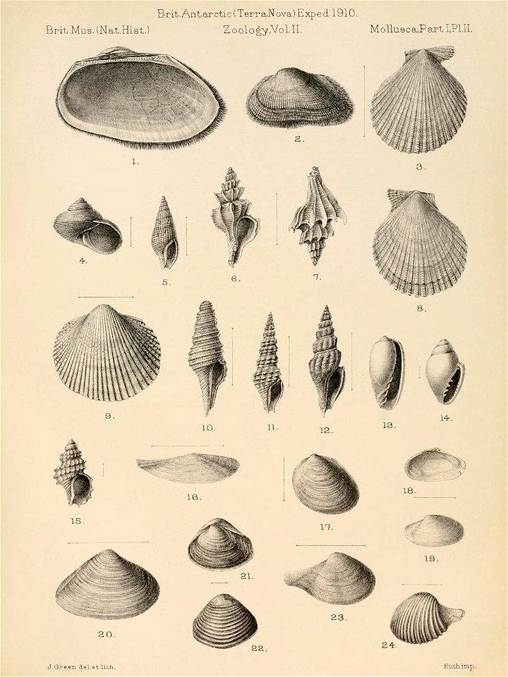 n156_w1150