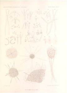 n332_w1150