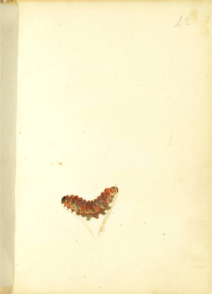 n35_w1150