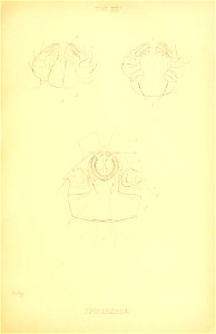 n190_w1150