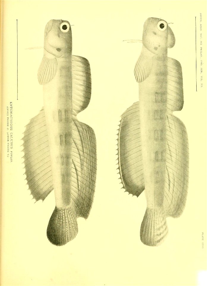 n638_w1150