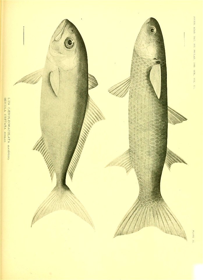 n608_w1150