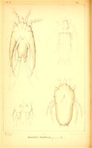n161_w1150