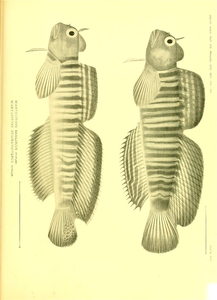 n636_w1150
