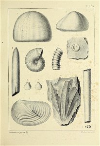 n162_w1150