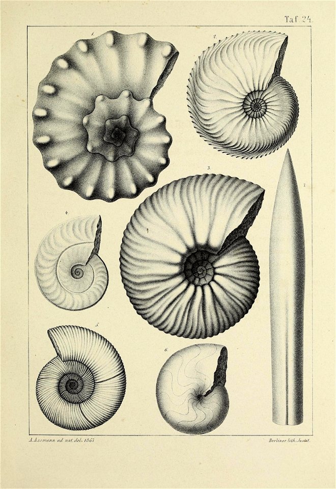 n102_w1150