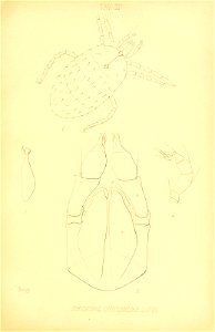 n186_w1150