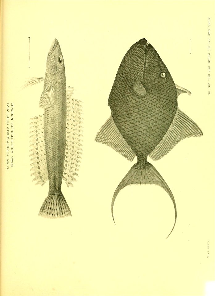 n634_w1150