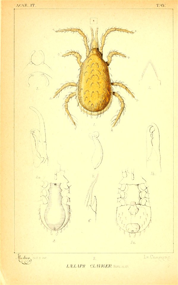 n149_w1150