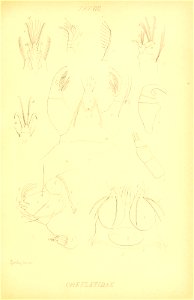 n180_w1150