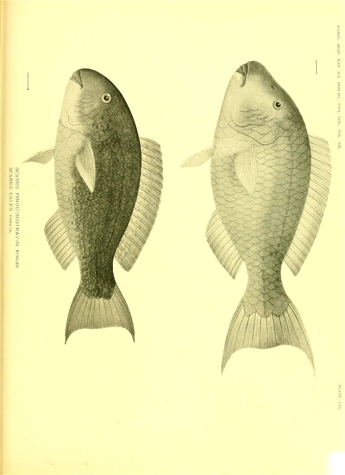 n628_w1150