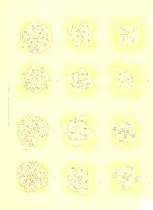 n598_w1150
