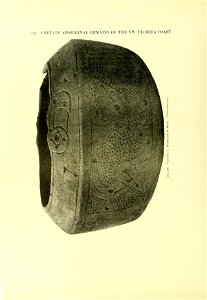 n335_w1150