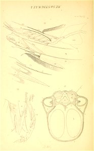n173_w1150
