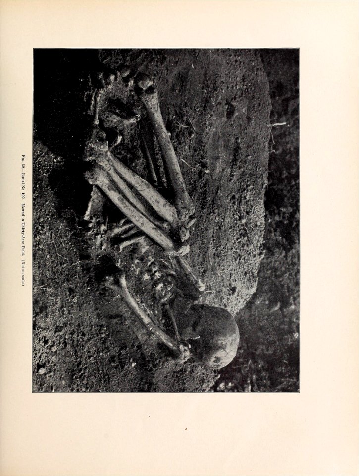 n354_w1150