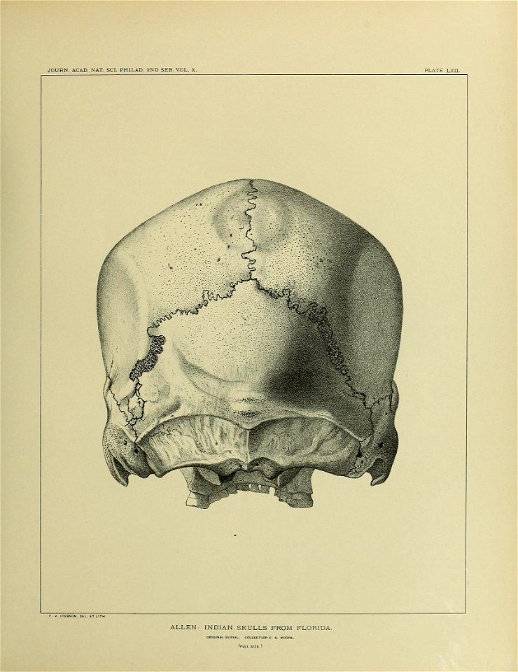 n674_w1150