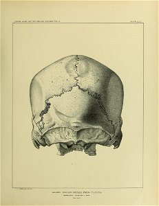 n674_w1150