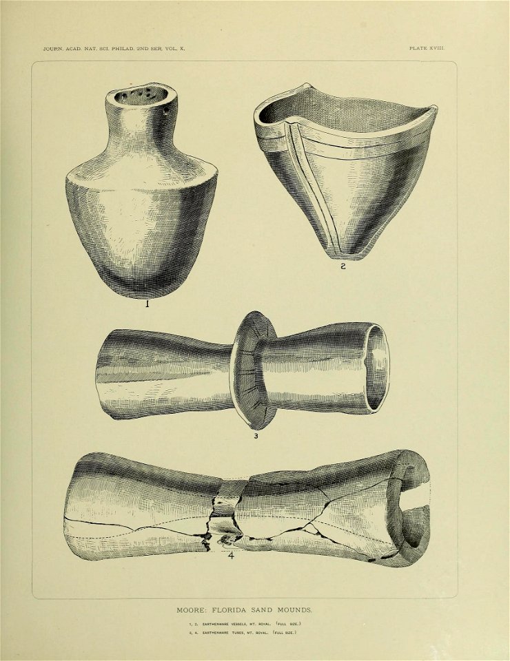 n584_w1150