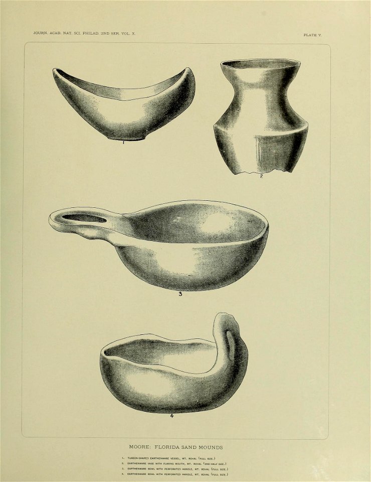 n554_w1150