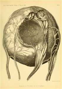 n560_w1150