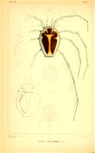 n169_w1150