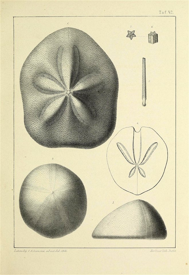n174_w1150