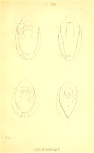 n184_w1150