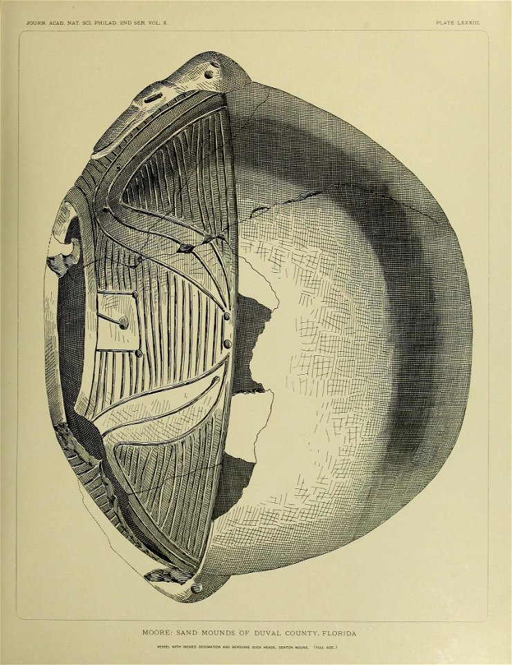 n716_w1150