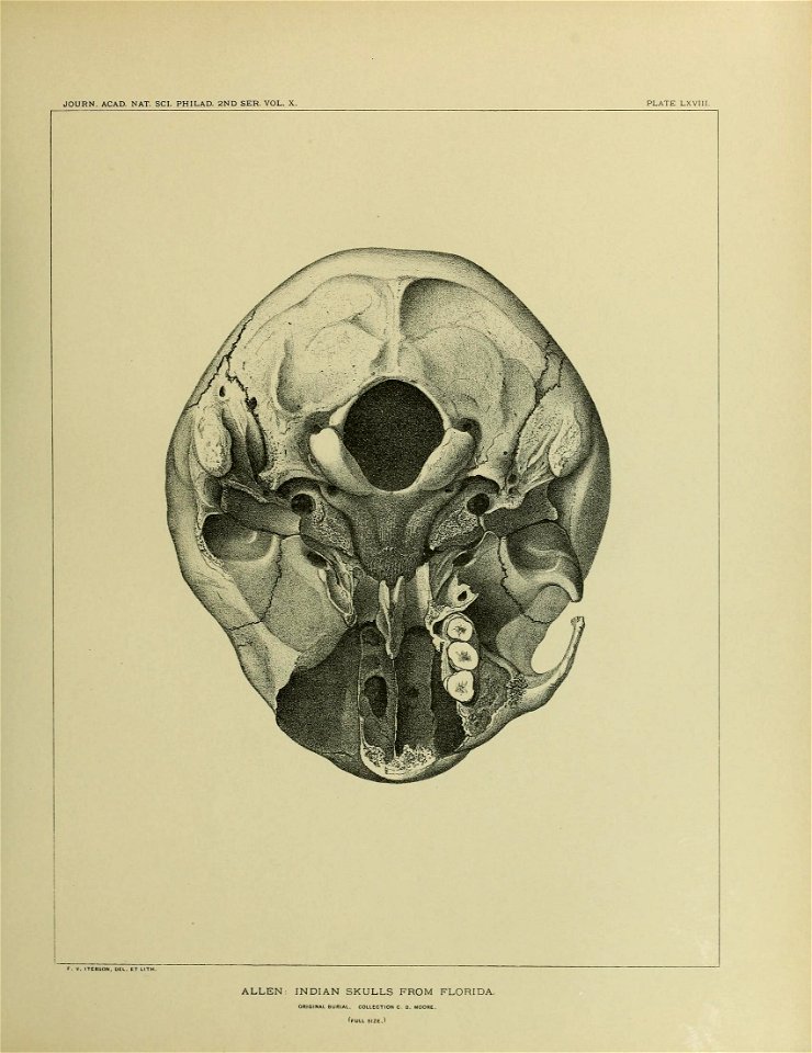 n686_w1150