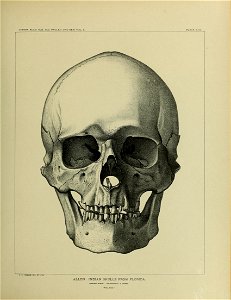 n656_w1150