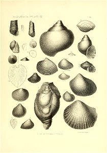 n542_w1150