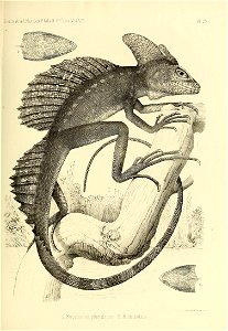 n512_w1150