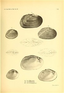 n482_w1150