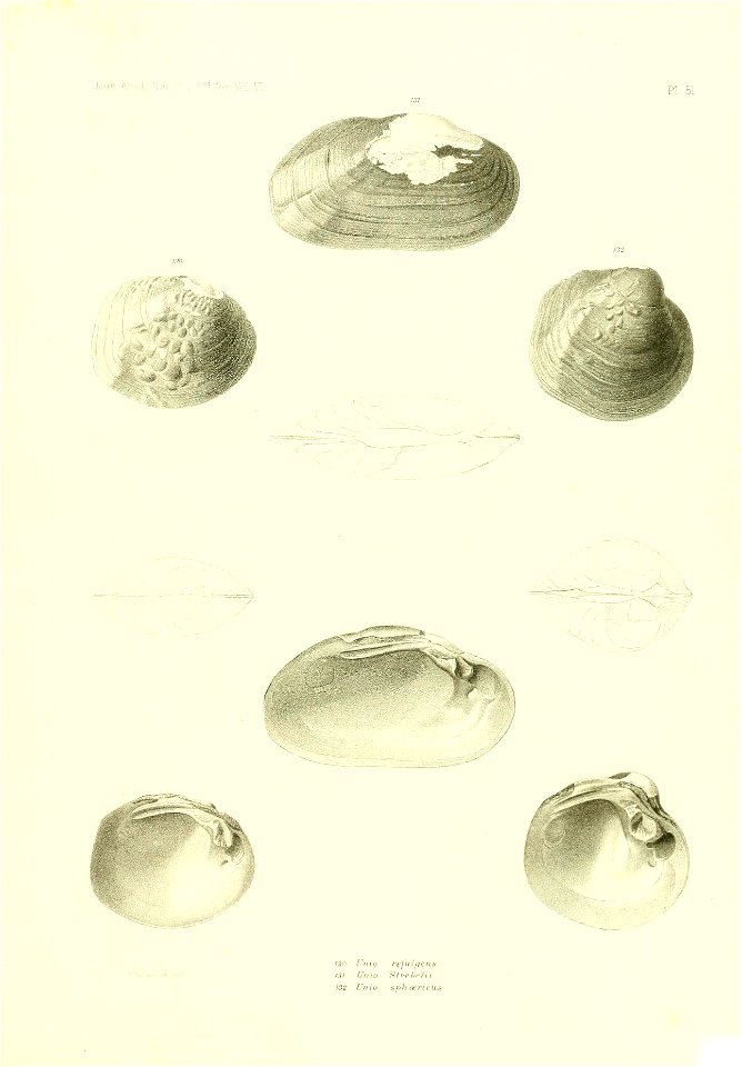 n476_w1150